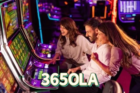 365OLA feedback — formulário de envio no aplicativo oficial