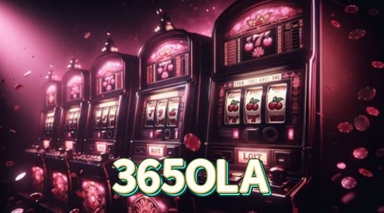 365OLA Instalar Logo 2