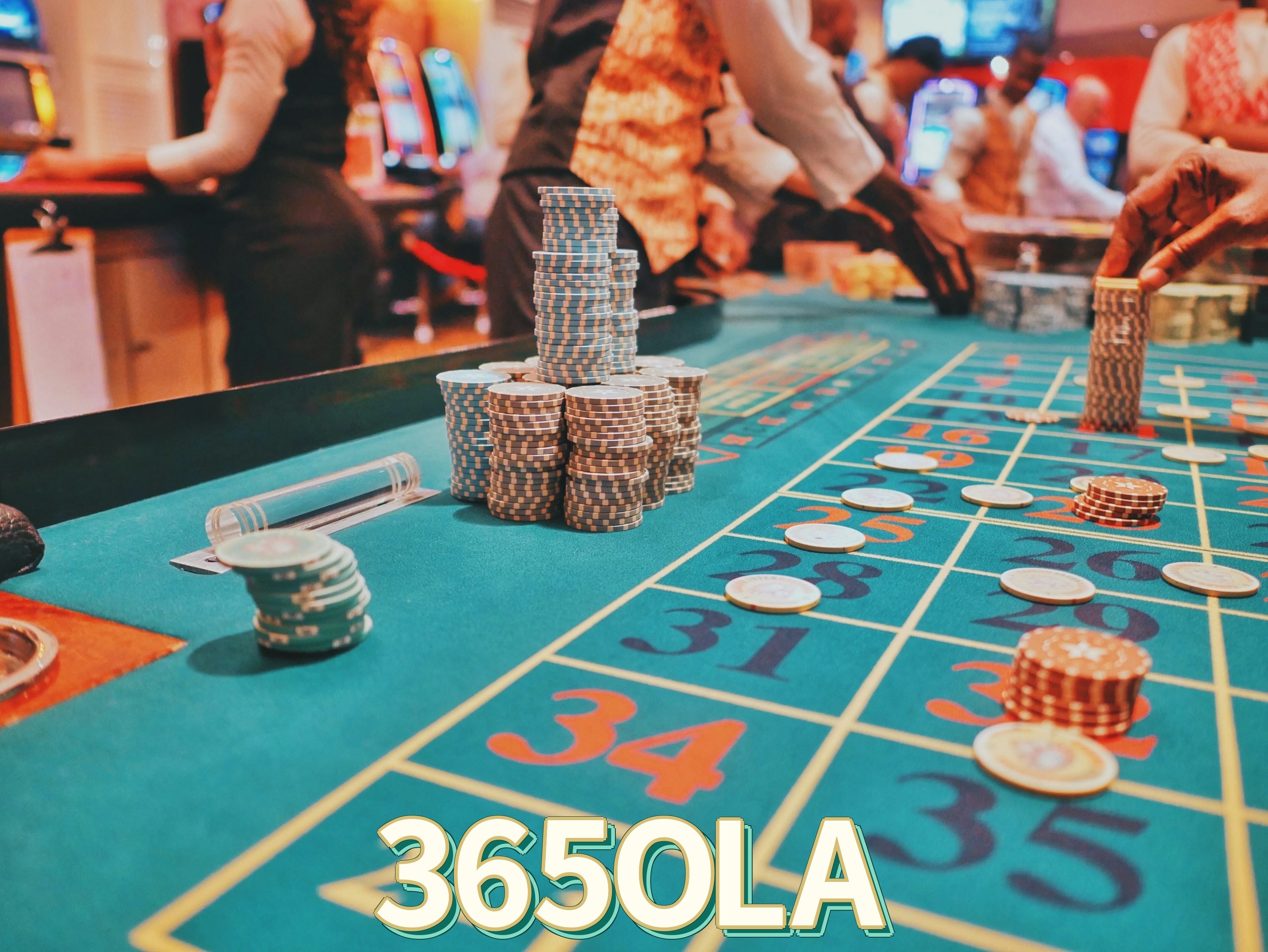 365OLA Plataforma