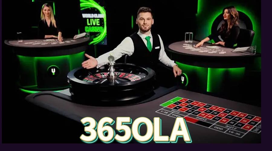 Telegram 365OLA - Suporte Prioritário 24/7