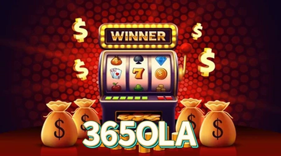 365OLA