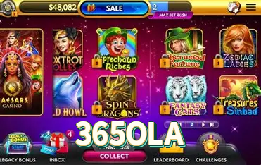 365OLA